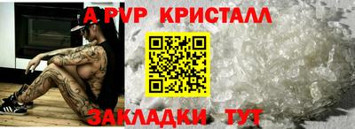 индика Лесосибирск