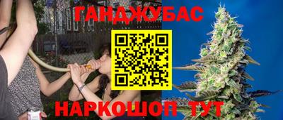 индика Лесосибирск