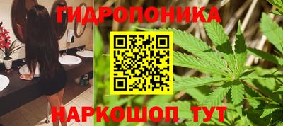 индика Лесосибирск