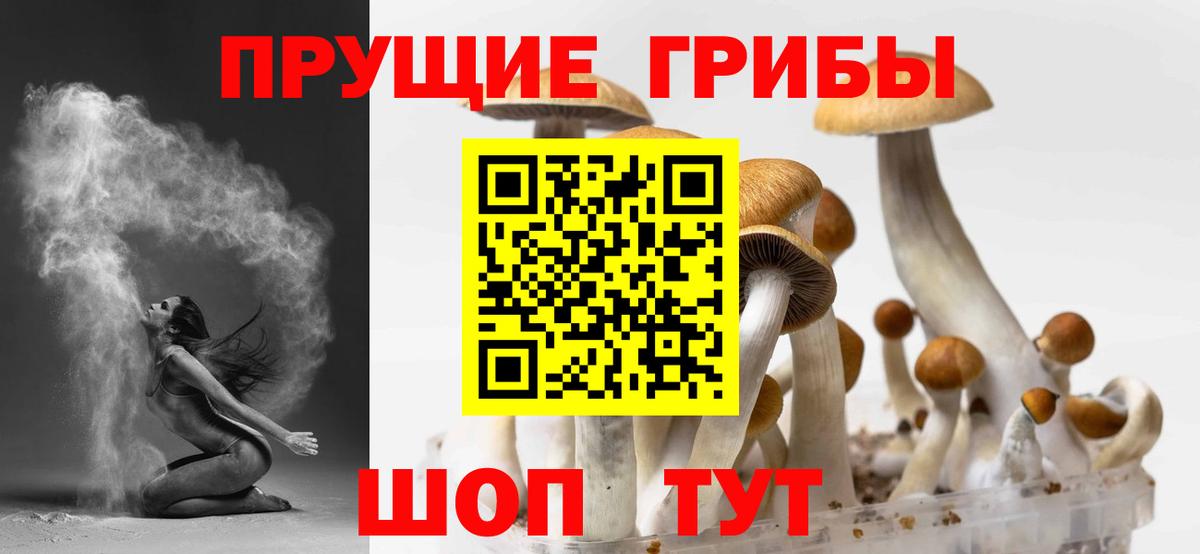 как найти   Псилоцибиновые грибы Magic Shrooms  Вход с VPN  Великие Луки  Псилоцибиновые грибы MAGIC MUSHROOMS 